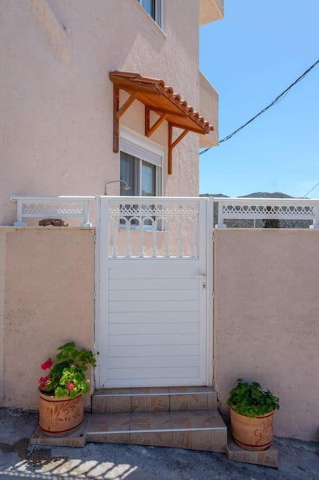 Rosa 'S House Daire Palekastro Dış mekan fotoğraf