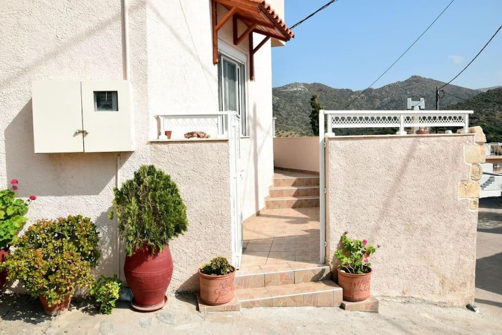 Rosa 'S House Daire Palekastro Dış mekan fotoğraf